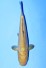 DOITSU KARASHI CHAGOI +24CM JUMBO TOSAI