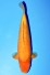MANGO RED KARASHIGOI