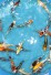OF4 - HQ Tosai Koi Mix Box Nr.31