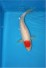 Tancho Kohaku