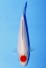 TANCHO KOHAKU JUMBO TOSAI