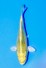 TATEGOI BIG SCALE METALLIC OCHIBA
