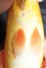 TATEGOI DOITSU APPLE MANGO KARASHI