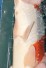 TATEGOI KOHAKU +46CM