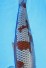 TATEGOI OCHIBA-SHIGURE +58 CM