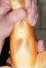 TATEGOI ORENJI