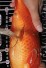 TATEGOI RED TIGER WEIBLICH