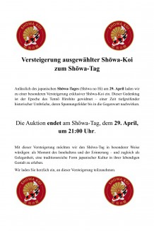 TATEGOI SHOWA Koi kaufen im Koishop