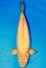 VIP DOITSU KARASHI +64CM WEIBLICH
