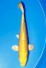 YAMABUKI +50CM